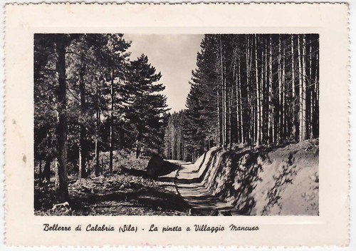 Sila cosenza la pineta - cosenza, a