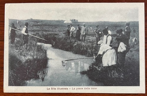 Cartolina - cartolina, d'
