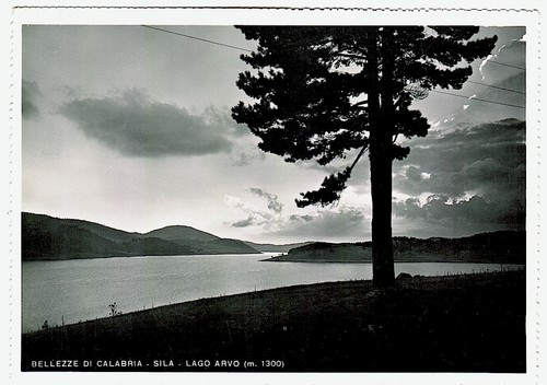 Sila cosenza lago arvo - -,