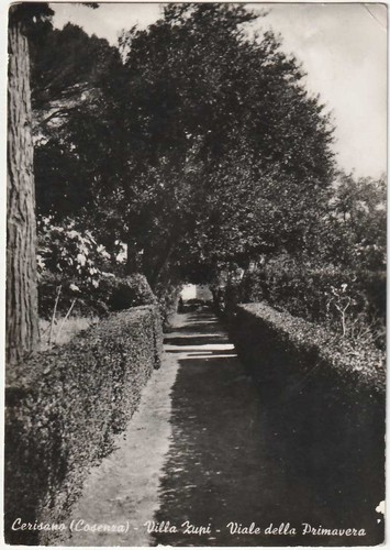 Cerisano cosenza villa - -,