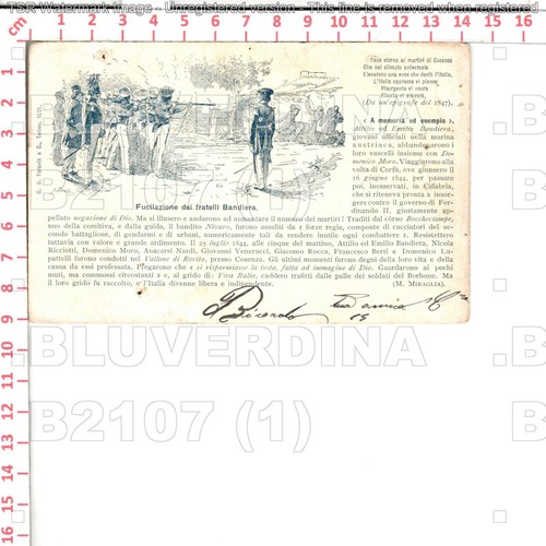 B2107 illustratore quinto - b2107,