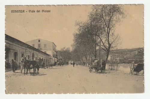Cosenza viale dei platani - viale,